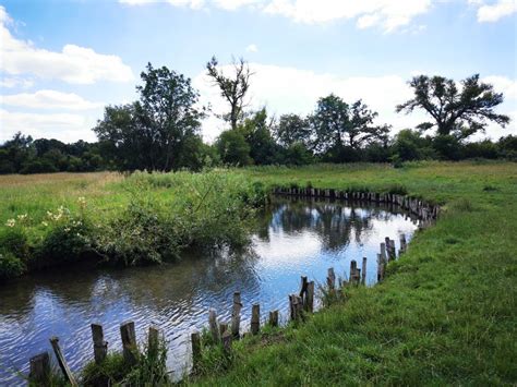 greystones farm nature reserve